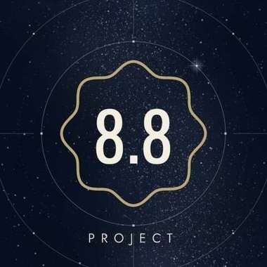 8.8 Project rozeti